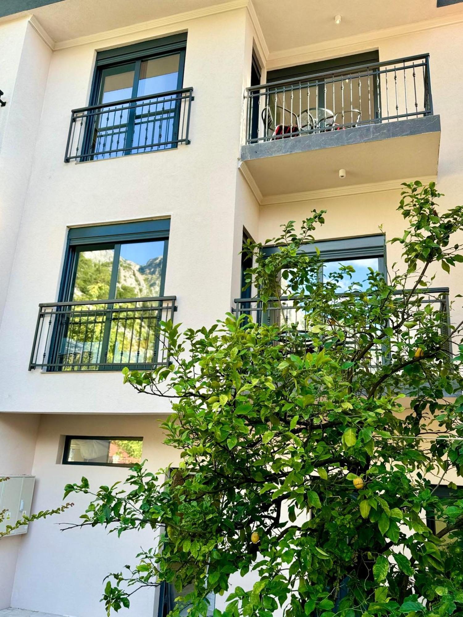 Harmony Garden Apartments Kotor Exteriér fotografie